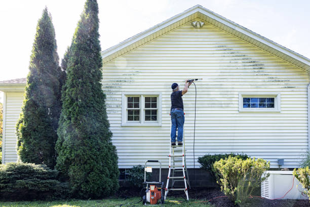 Best Gutter Cleaning  in Crane, MO